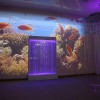 Проекционный дизайн "Виртуальная реальность" базовый комплект 500 анимаций - «globural.ru» - Новый Уренгой