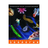 Зоология. Микрофотографии. (Цифровая база изображений) - «globural.ru» - Новый Уренгой