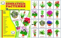 Демонстрационные карточки "Комнатные растения" - «globural.ru» - Новый Уренгой