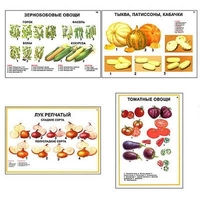 Плакаты ПРОФТЕХ "Ассортимент овощных культур" (12 пл, винил, 70х100) - «globural.ru» - Новый Уренгой