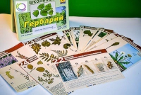 Гербарий к курсу основ общей биологии - «globural.ru» - Новый Уренгой