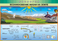 Таблица Возникновение жизни на Земле 1000*1400 винил - «globural.ru» - Новый Уренгой