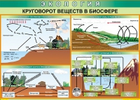 Таблица Круговорот веществ в биосфере 1000*700 винил - «globural.ru» - Новый Уренгой