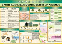 Таблица Биотические взаимоотношения организмов 1000*700 (винил) - «globural.ru» - Новый Уренгой