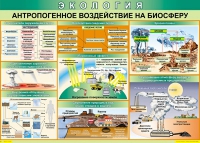 Таблица Антропогенное воздействие на биосферу 1000*700 винил - «globural.ru» - Новый Уренгой