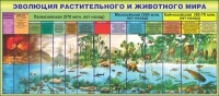 Стенд "Эволюция растительного и животного мира" - «globural.ru» - Новый Уренгой