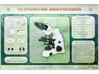 Электрифицированный стенд "Устройство микроскопа и правила работы c ним" - «globural.ru» - Новый Уренгой