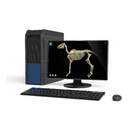 Макет масштабный «Скелет Лошади» Масштаб 1:2 - «globural.ru» - Новый Уренгой