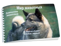 Пособие для слабовидящих "Домашние животные" - «globural.ru» - Новый Уренгой