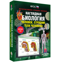 Наглядная биология. Человек. Строение тела человека - «globural.ru» - Новый Уренгой