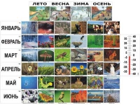 Фенологические наблюдения - «globural.ru» - Новый Уренгой