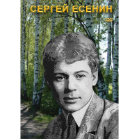 DVD Сергей Есенин - «globural.ru» - Новый Уренгой