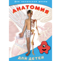 DVD  Анатомия для детей - «globural.ru» - Новый Уренгой