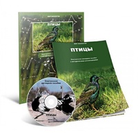 Электронное наглядное пособие «Птицы» - «globural.ru» - Новый Уренгой