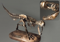 Модель скелета динозавра Tyrannosaurus - «globural.ru» - Новый Уренгой