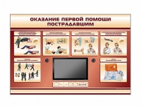 Многофункциональный интерактивный стенд-тренажер "Оказание первой помощи пострадавшим" для учащихся общеобразовательных учреждений - «globural.ru» - Новый Уренгой
