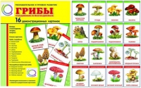 Демонстрационные карточки  "Грибы съедобные и не съедобные" - «globural.ru» - Новый Уренгой