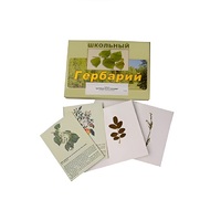 Гербарий "Деревья и кустарники" (22 вида, с иллюстрациями) - «globural.ru» - Новый Уренгой