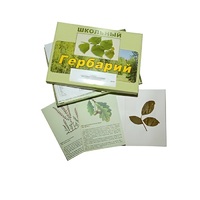 Гербарий "Дикорастущие растения" (30 видов, с иллюстрациями) - «globural.ru» - Новый Уренгой
