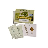 Гербарий "Лекарственные растения" (22 вида, с иллюстрациями) - «globural.ru» - Новый Уренгой