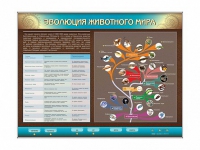 Интерактивный электрифицированный стенд "Эволюция животного мира" - «globural.ru» - Новый Уренгой