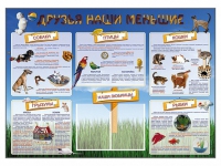 Стенд-уголок "Друзья наши меньшие" - «globural.ru» - Новый Уренгой