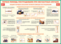  Таблица Общий порядок оказания первой помощи пострадавшим 1000*1400 винил	 - «globural.ru» - Новый Уренгой