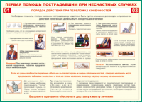 Таблица Порядок действий при переломах конечностей 1000*1400 винил - «globural.ru» - Новый Уренгой