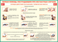 Таблица Порядок действий при ранениях и термических ожогах	 1000*1400 винил - «globural.ru» - Новый Уренгой