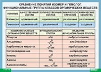 Химия. Сравнение понятий изомер и гомолог. Функциональные группы классов органических веществ (винил) - «globural.ru» - Новый Уренгой