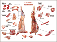 Правила разделки мясных туш "Баранина и ягнятина" 1000*1400 винил - «globural.ru» - Новый Уренгой