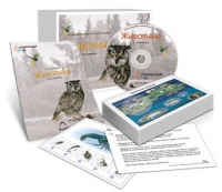 Комбинированное наглядное пособие «Животные» - «globural.ru» - Новый Уренгой