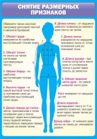 Стенд "Снятие мерок" (вариант 2) - «globural.ru» - Новый Уренгой