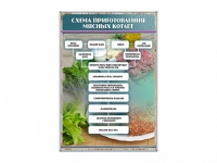 Стенд "Схема приготовления мясных котлет" - «globural.ru» - Новый Уренгой