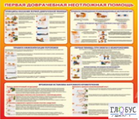 Стенд "Первая доврачебная неотложная помощь" - «globural.ru» - Новый Уренгой