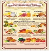 Стенд "Витамины, жиры, белки" - «globural.ru» - Новый Уренгой