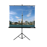 Проекционный экран на штативе Lumien Eco View (LEV-100105) 160x160 см - «globural.ru» - Новый Уренгой