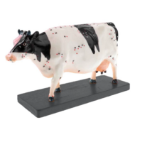Электрифицированный макет коровы на каркасе - «globural.ru» - Новый Уренгой