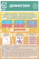 Стенд "Диффузия" - «globural.ru» - Новый Уренгой
