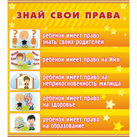 Стенд "Знай свои права" - «globural.ru» - Новый Уренгой