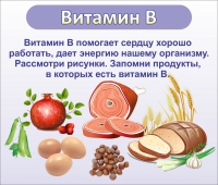 Стенд "Витамин В" - «globural.ru» - Новый Уренгой