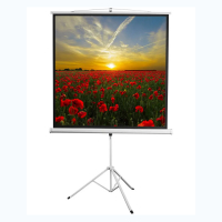 Экран на штативе DSKD-1105  - «globural.ru» - Новый Уренгой
