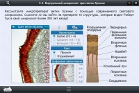 Интерактивные курсы. Биология 5 класс. Расширенный - «globural.ru» - Новый Уренгой