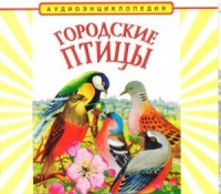 CD "Аудиоэнциклопедия. Городские птицы" - «globural.ru» - Новый Уренгой