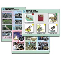 Комплект таблиц для  начальной школы "Окружающий мир. Экология" - «globural.ru» - Новый Уренгой