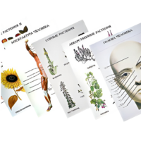 Таблицы по природоведению 1-3 класс - «globural.ru» - Новый Уренгой