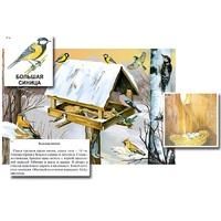 Магнитный плакат-аппликация "Биоразнообразие и экологические группы. Птицы зимой" - «globural.ru» - Новый Уренгой