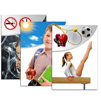 Модель-аппликация "Здоровье человека" - «globural.ru» - Новый Уренгой