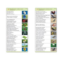 Комплект карточек (10) "Обучающий калейдоскоп. Природа" - «globural.ru» - Новый Уренгой