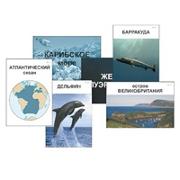 Модель-аппликация "Океаны. Знакомство" (ламинированная) - «globural.ru» - Новый Уренгой